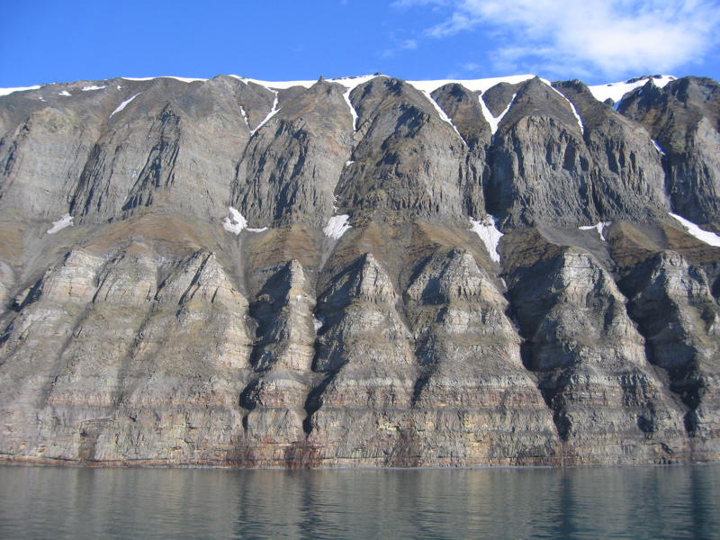 Vogelfelsen in Islfjorden